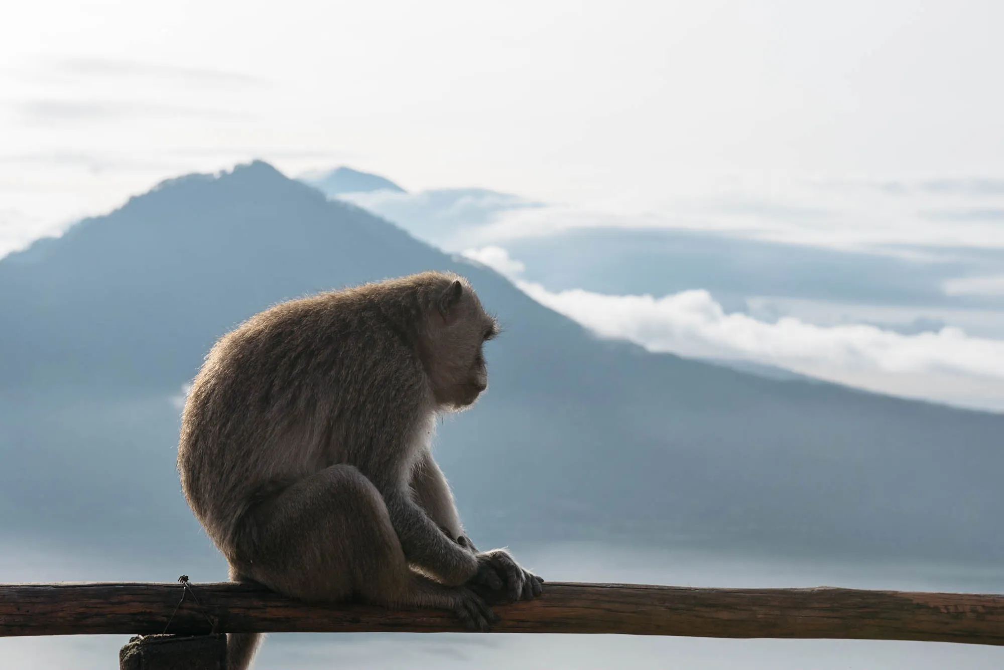 Bali, Indonesia - Mt. Batur, Temples, and Rice Terraces