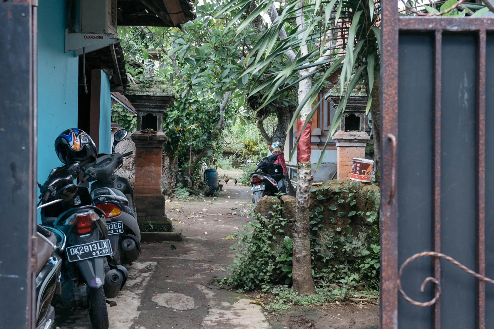Bali, Indonesia - Cat Cafe, Medicine Man, and Luwak Coffee