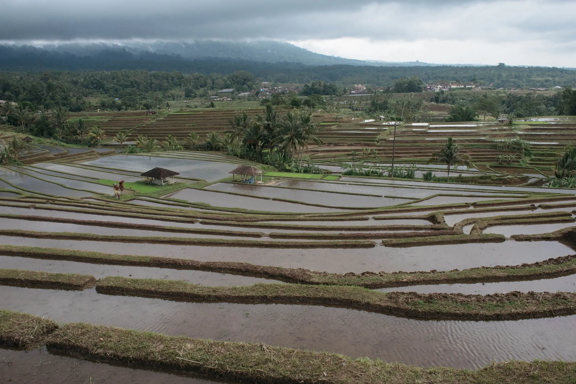 Bali, Indonesia - Mt. Batur, Temples, and Rice Terraces