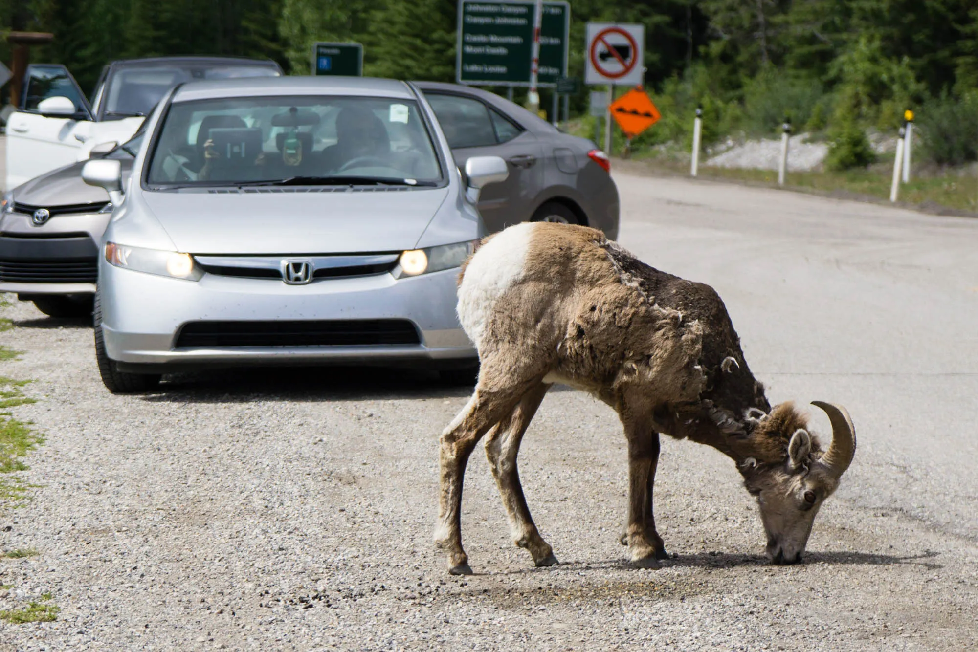 Banff, Our Canadian Road Trip
