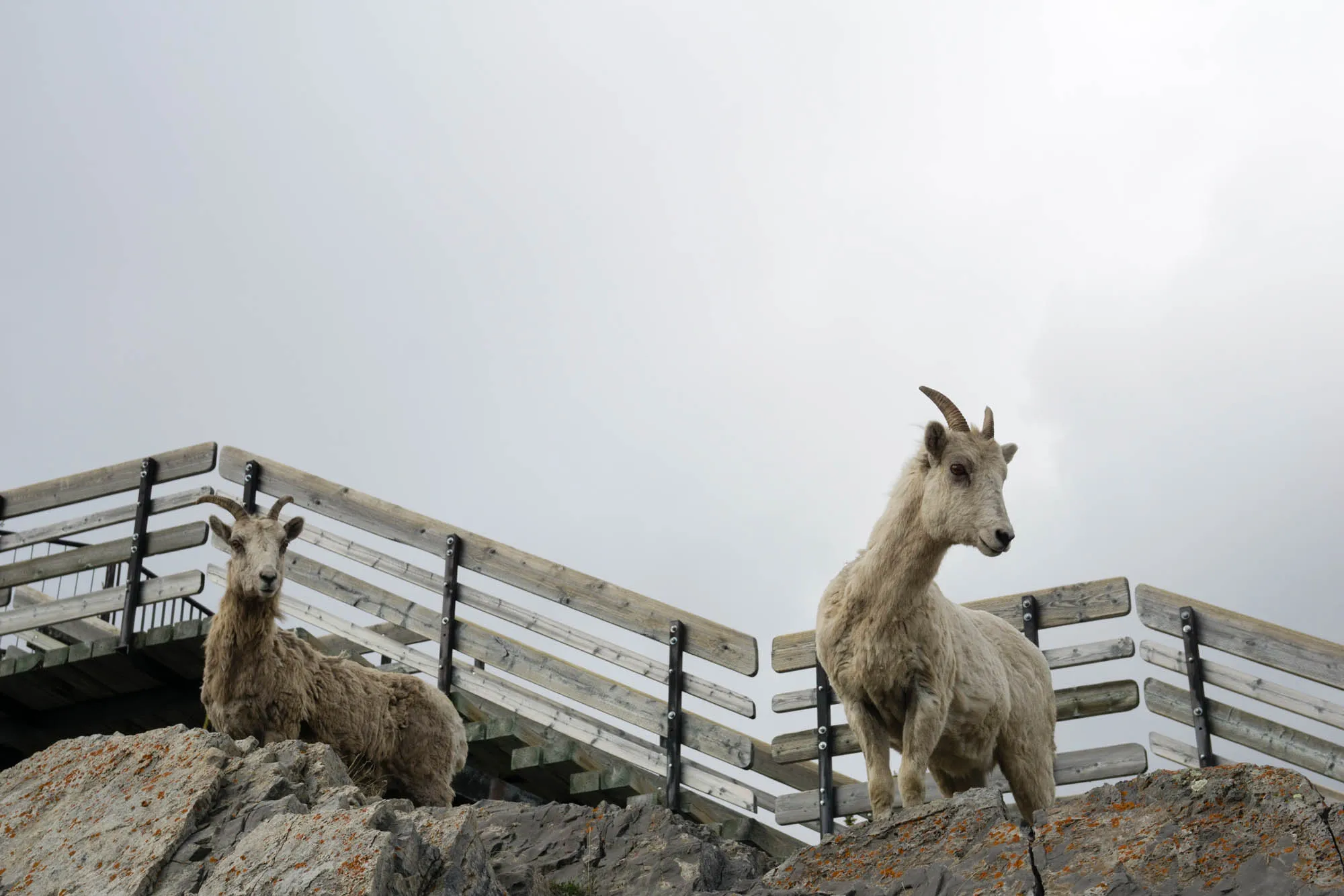 Banff, Our Canadian Road Trip
