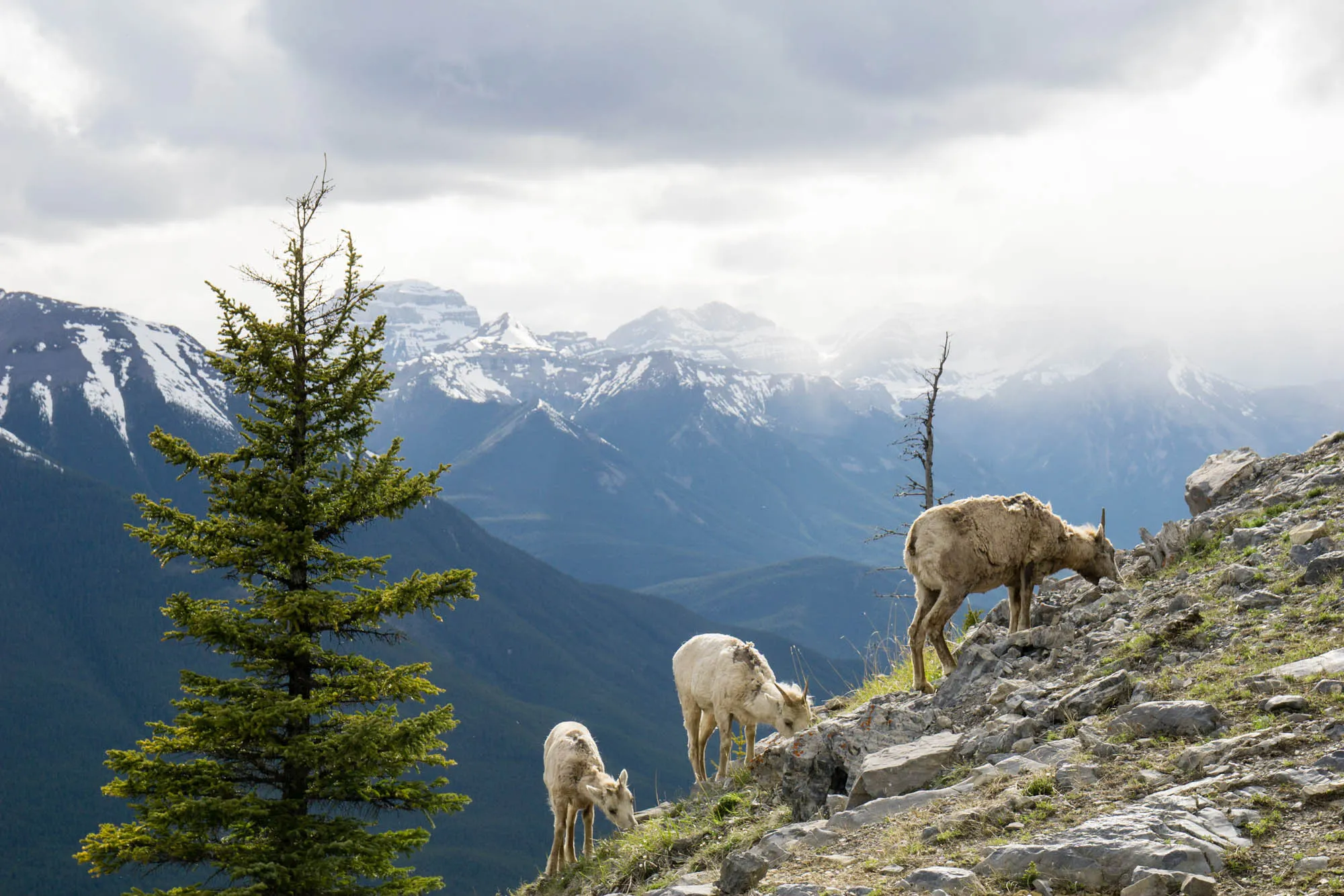 Banff, Our Canadian Road Trip