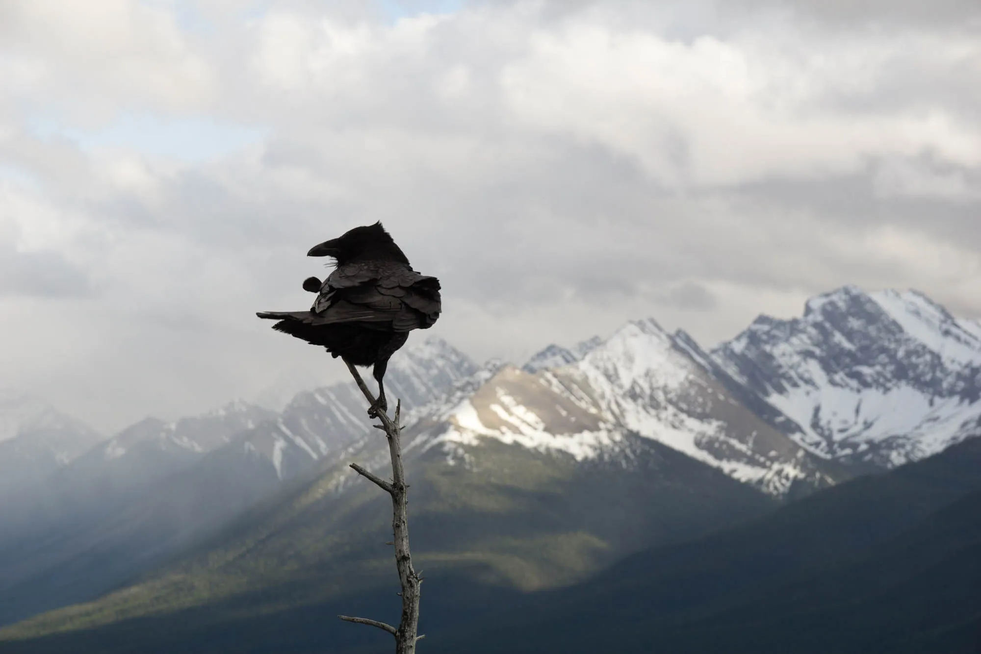 Banff, Our Canadian Road Trip