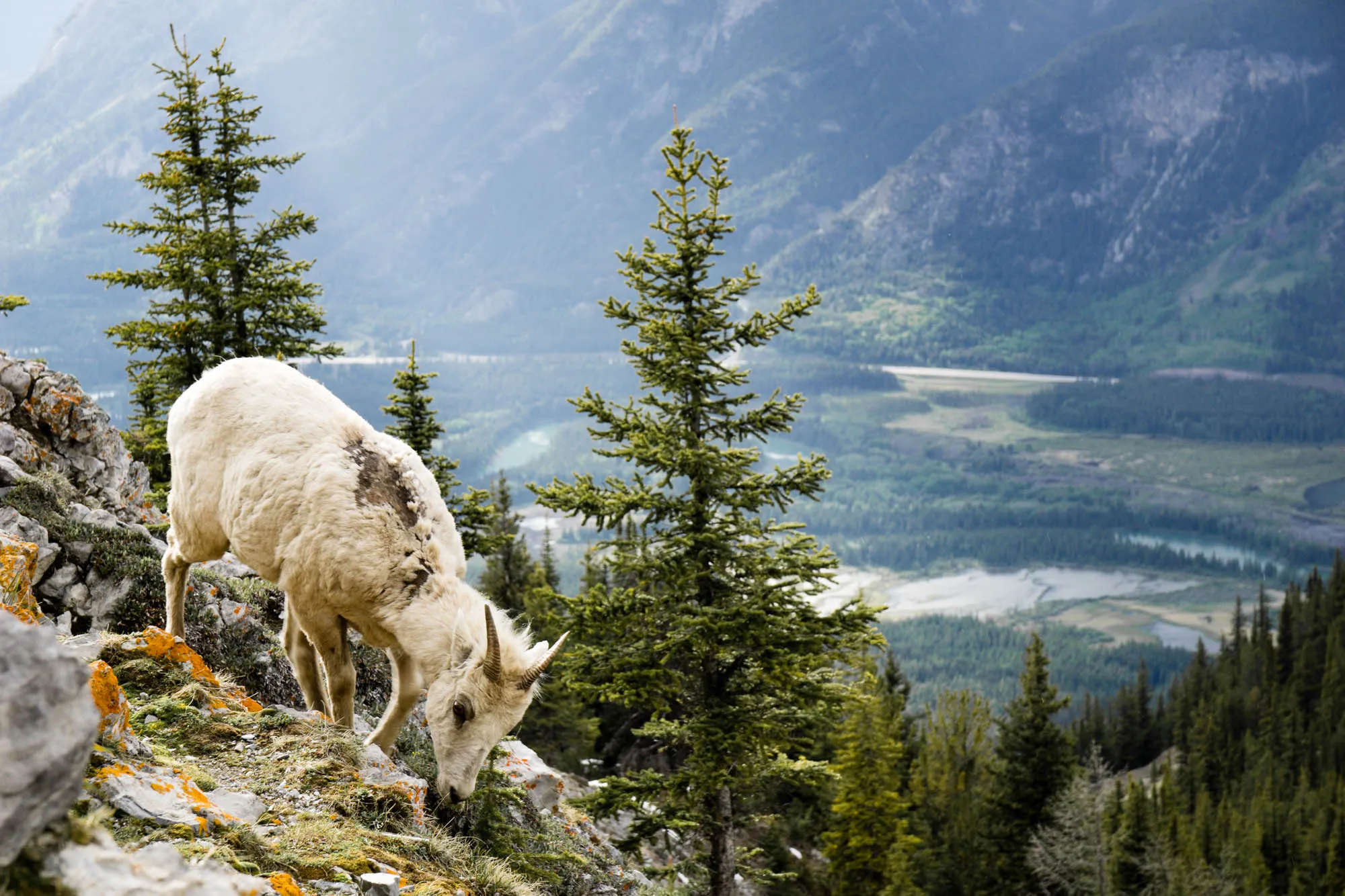Banff, Our Canadian Road Trip