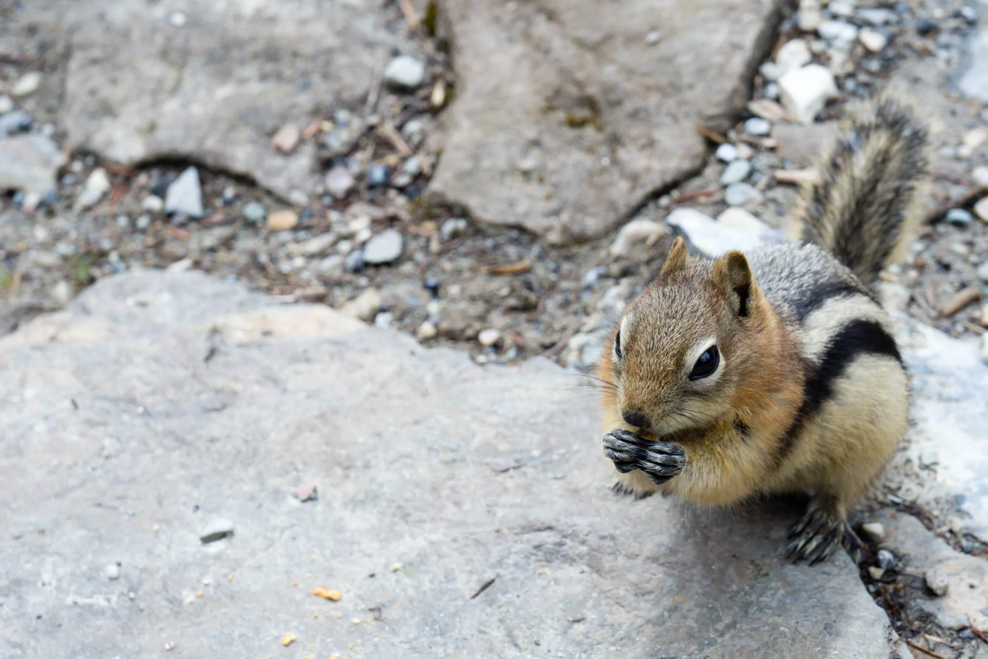 Banff, Our Canadian Road Trip