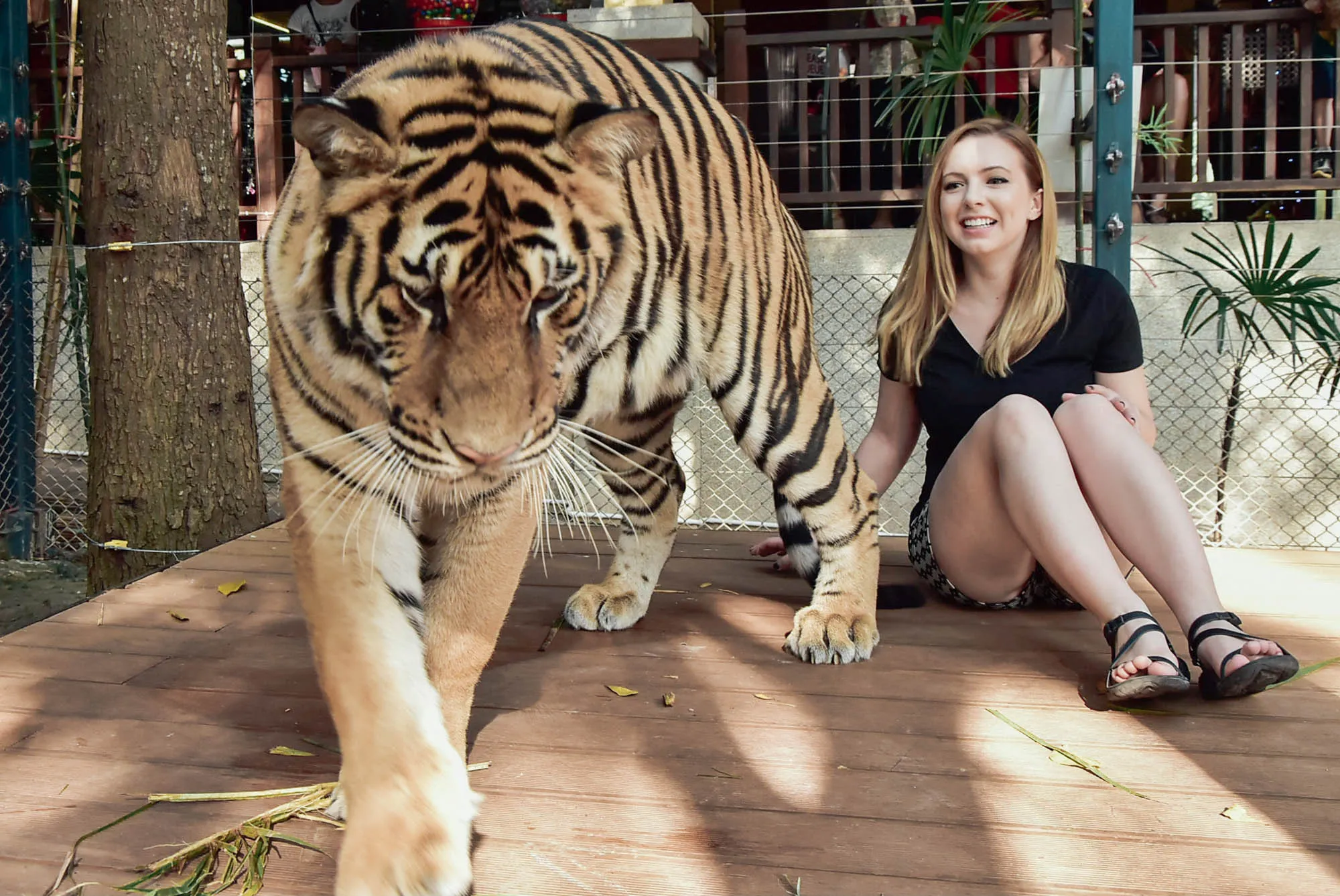 Chiang Mai, Thailand