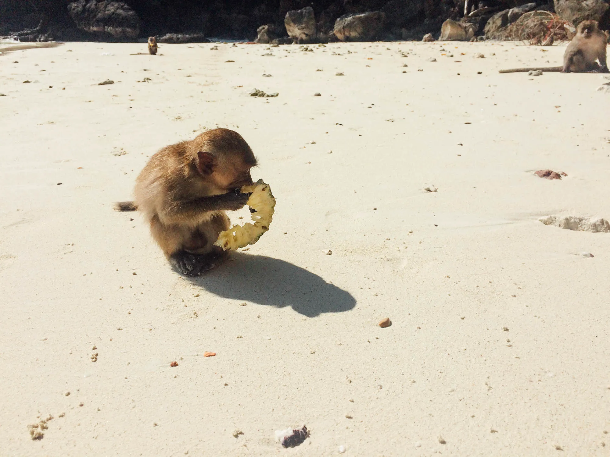 Island Hopping in Thailand