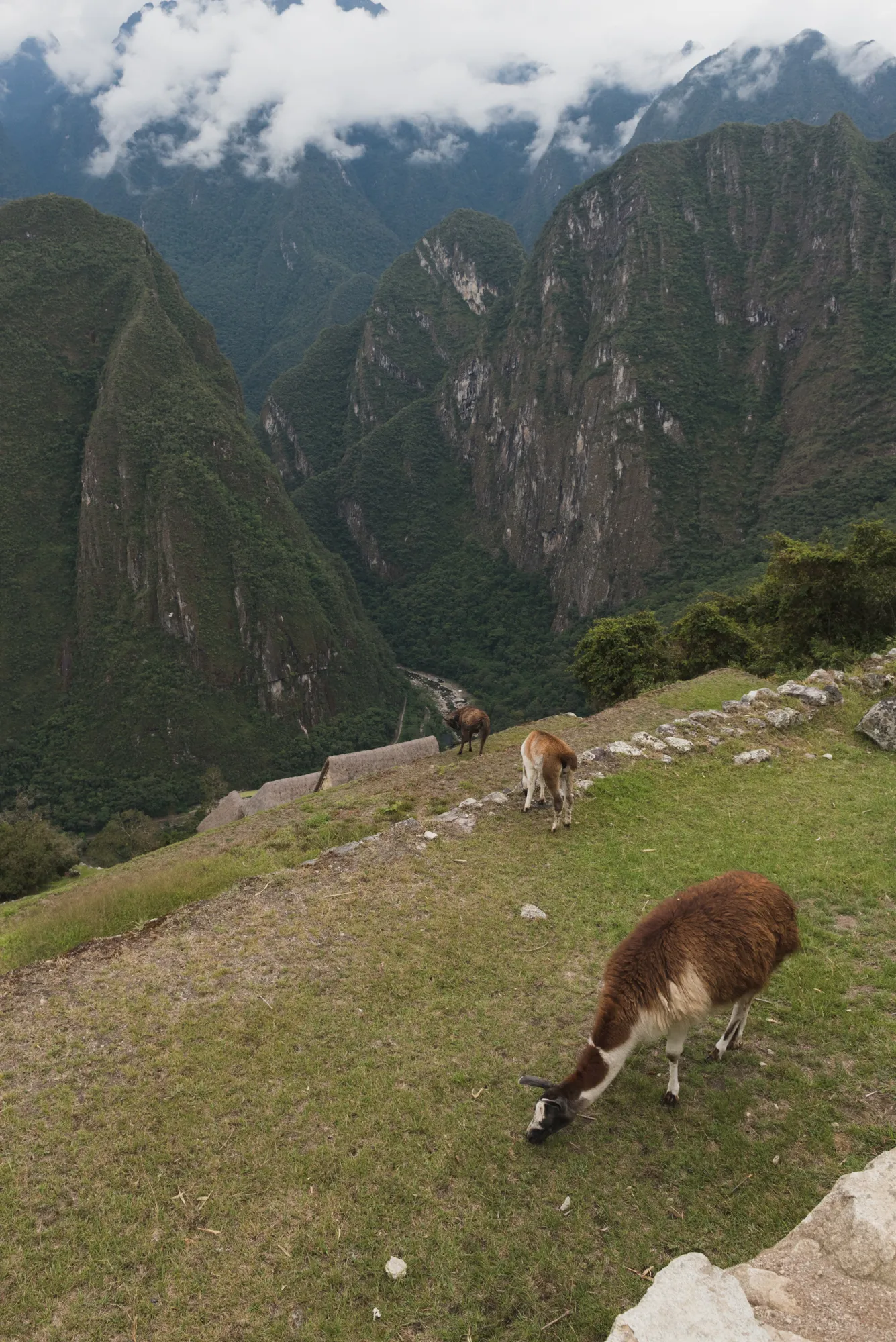 Machu Picchu, Peru