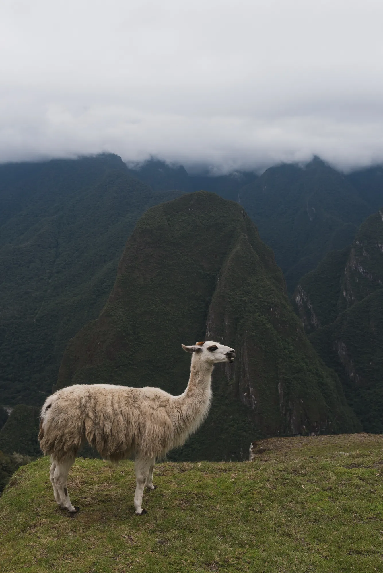 Machu Picchu, Peru