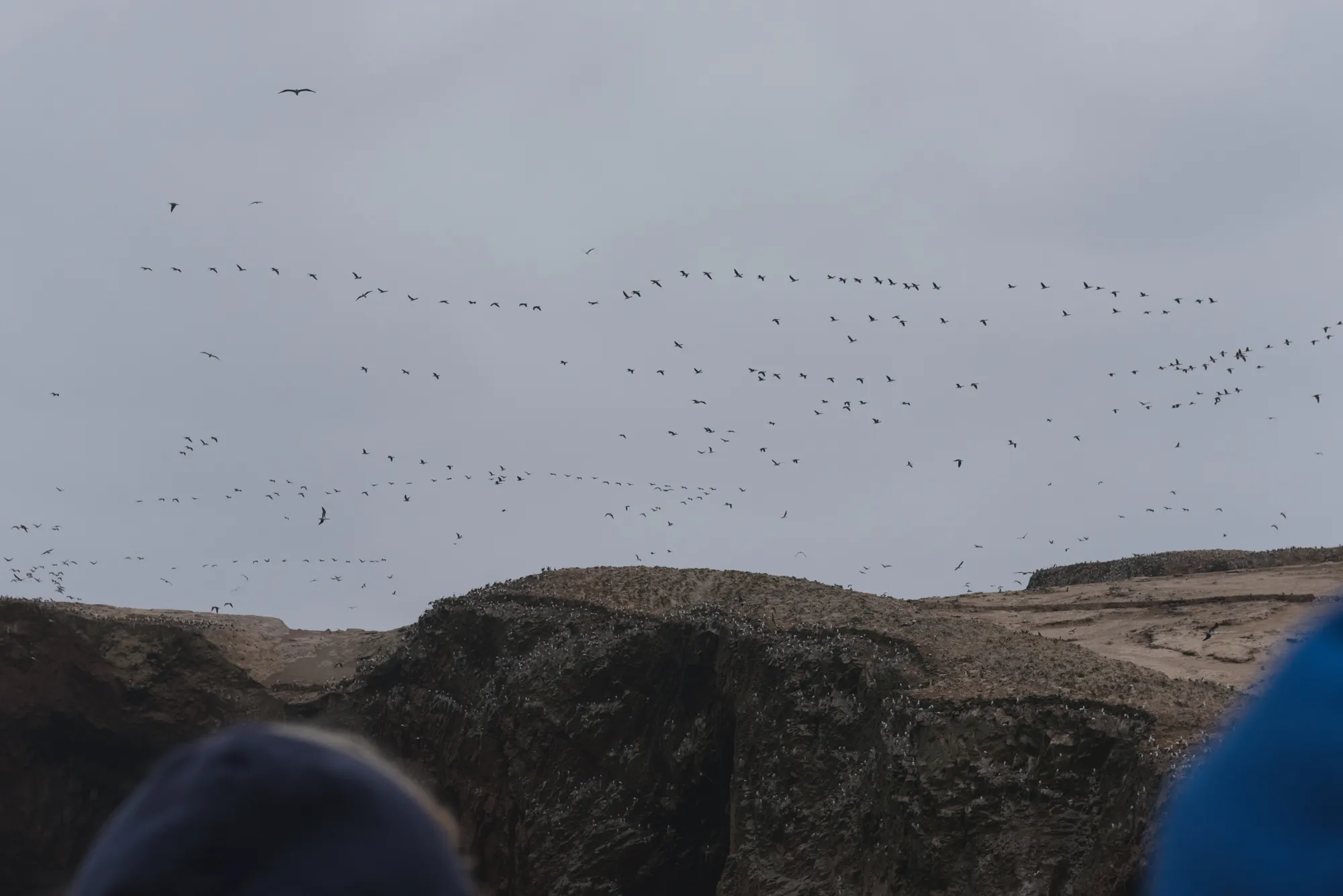 Paracas and Ballestas Islands, Peru