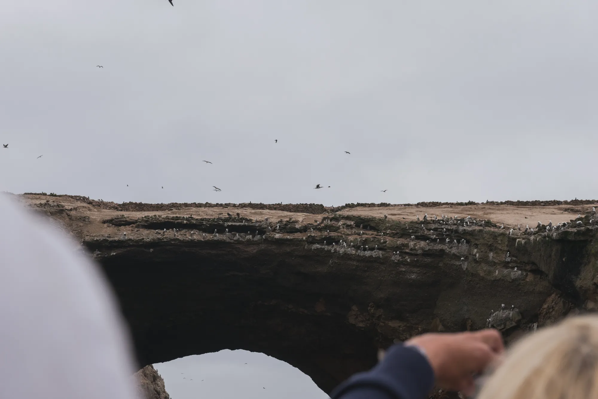 Paracas and Ballestas Islands, Peru