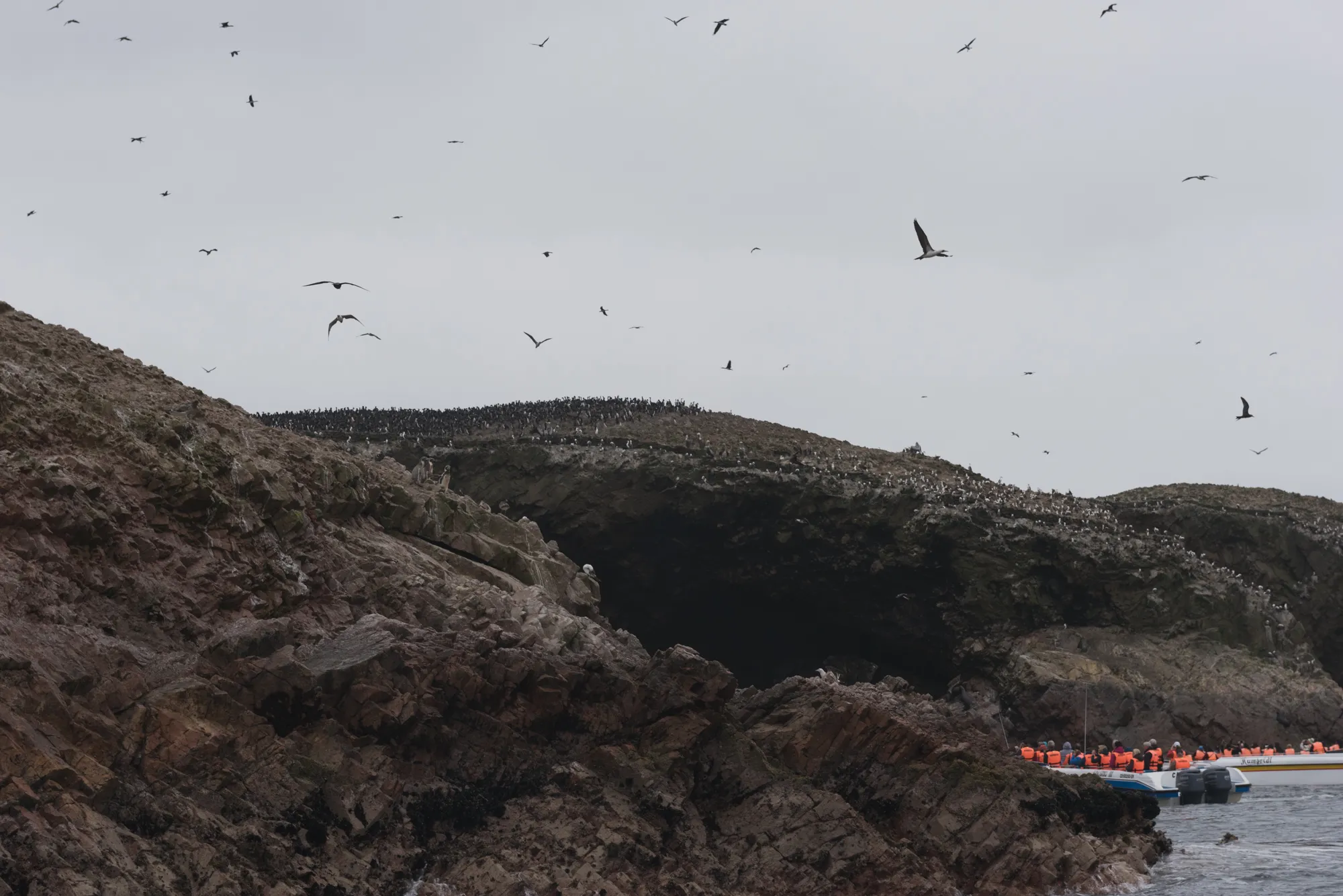 Paracas and Ballestas Islands, Peru