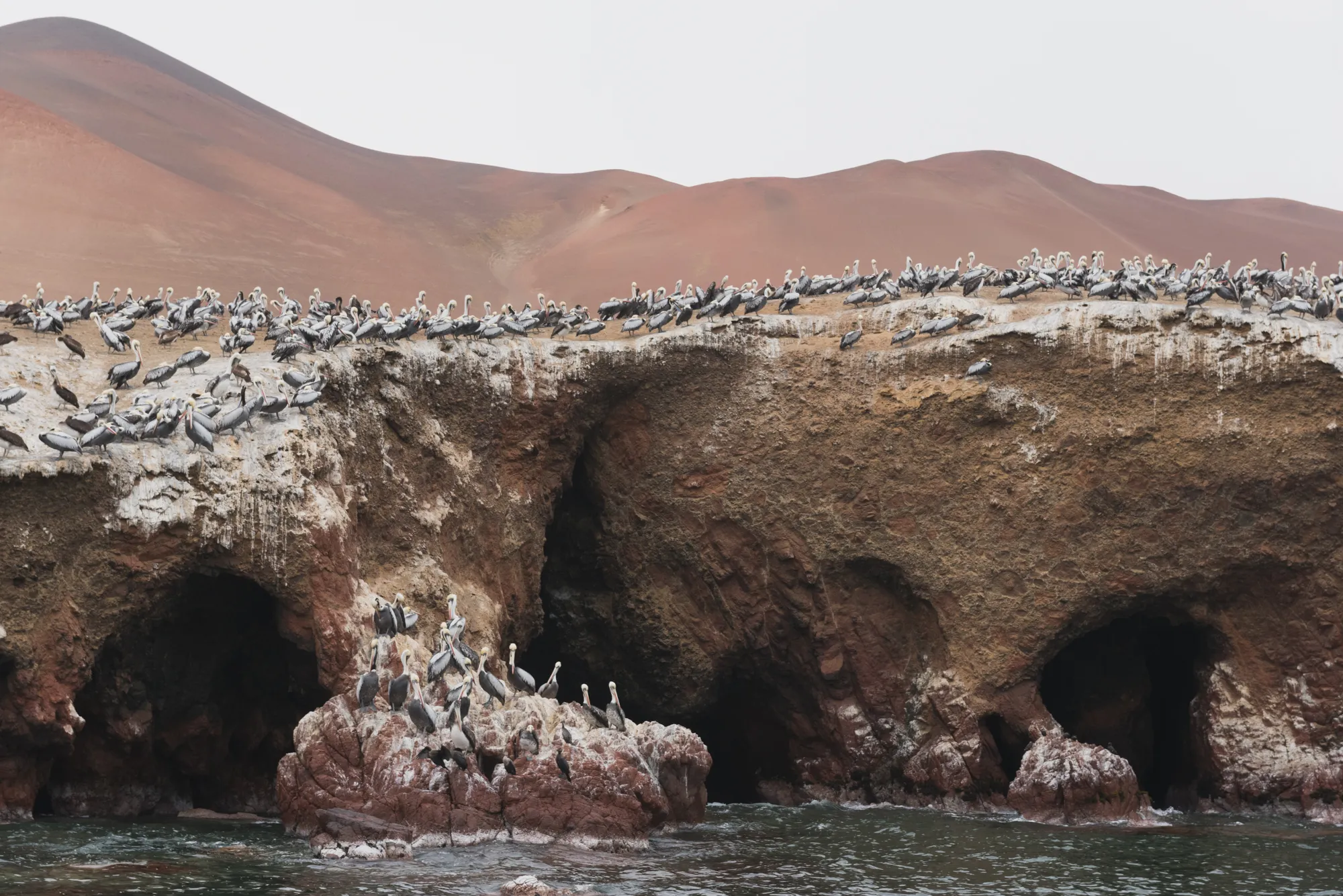 Paracas and Ballestas Islands, Peru