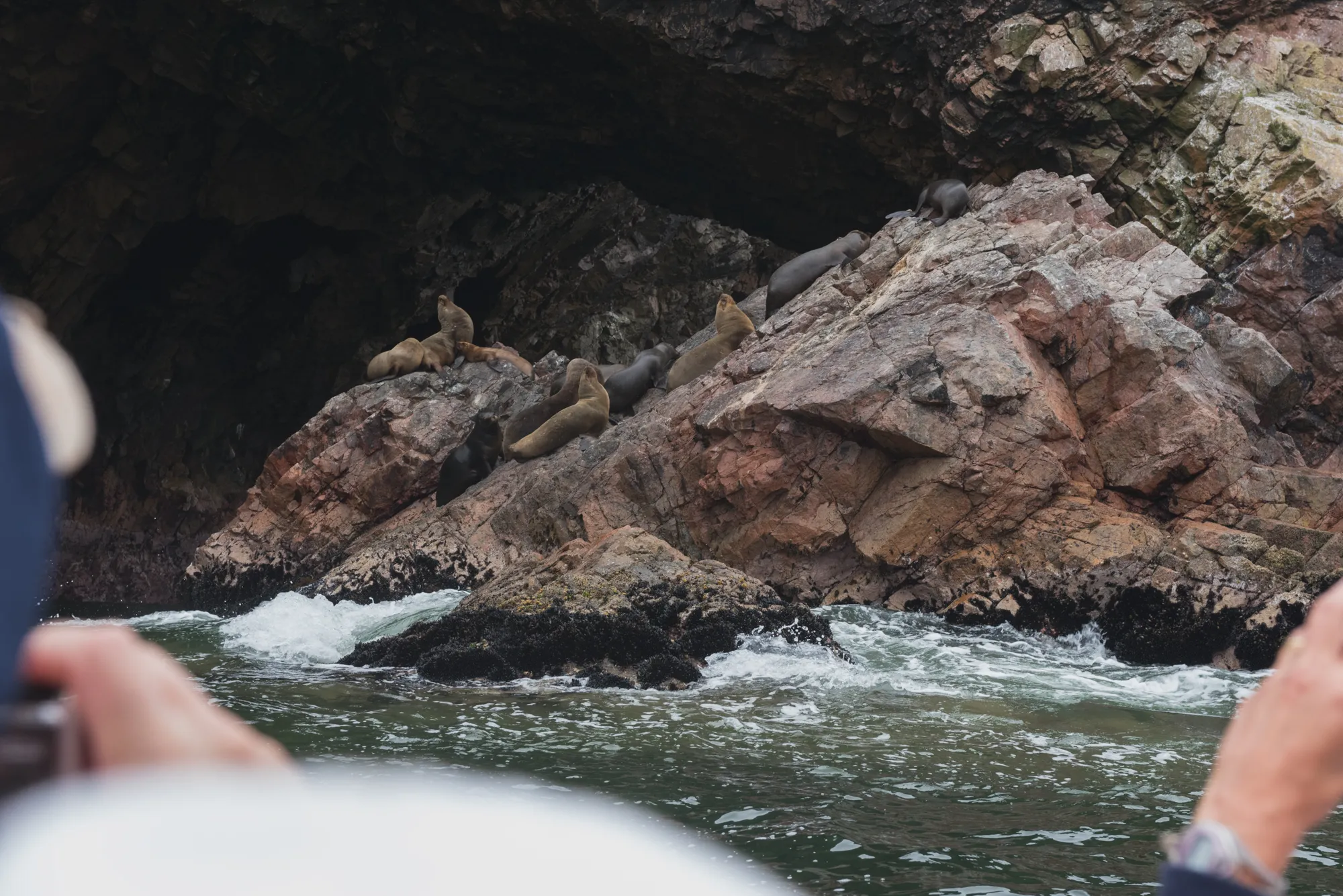 Paracas and Ballestas Islands, Peru