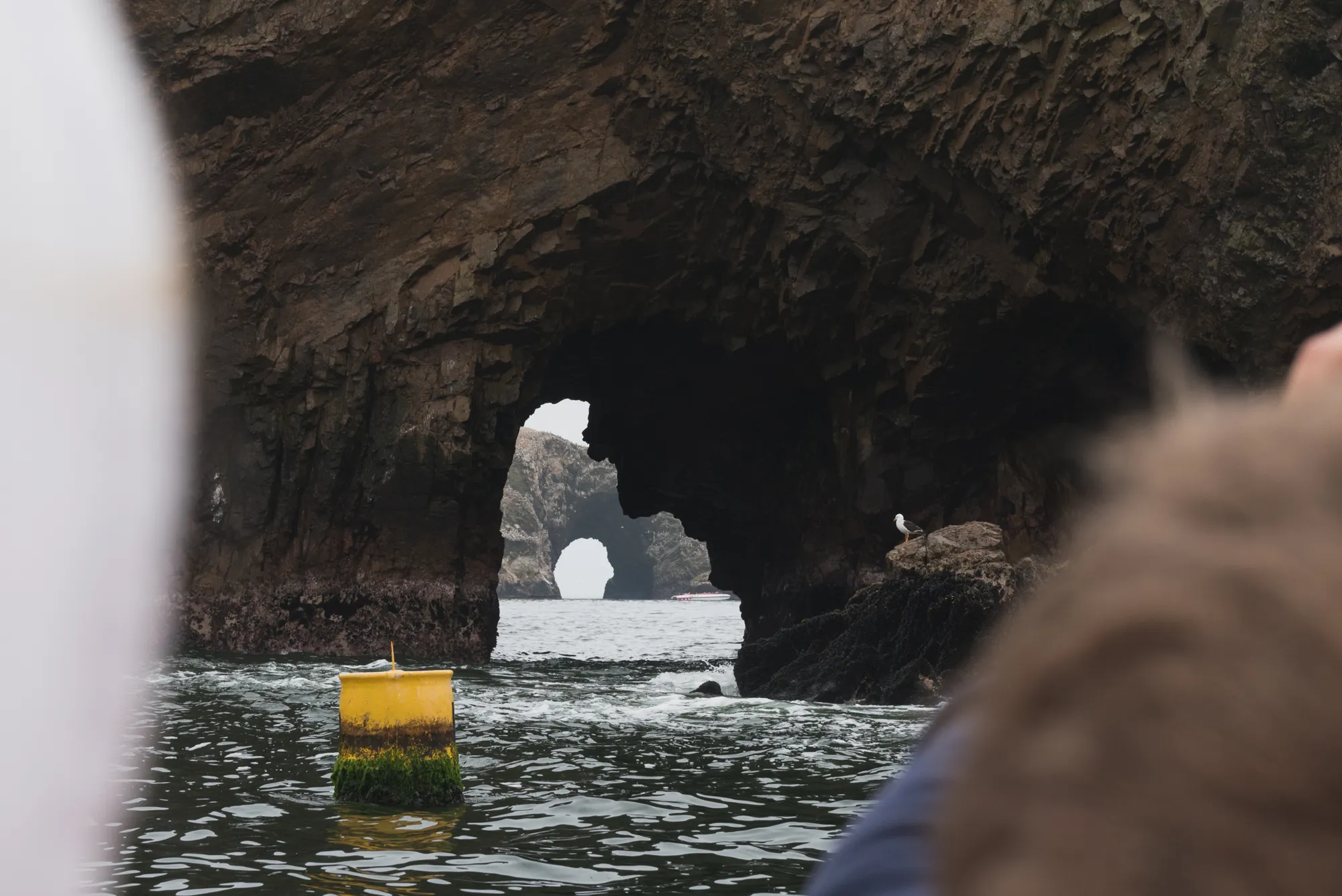Paracas and Ballestas Islands, Peru