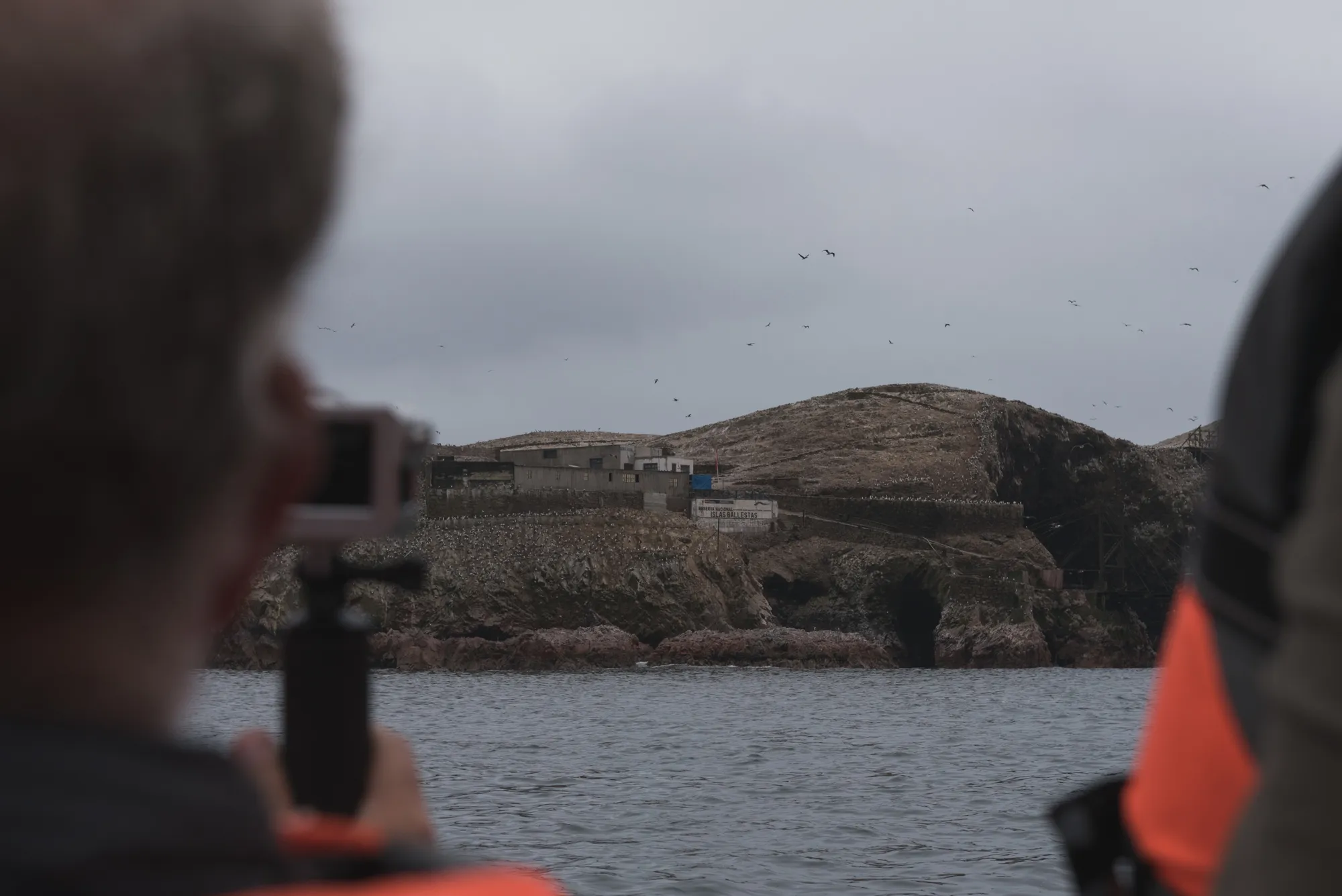 Paracas and Ballestas Islands, Peru