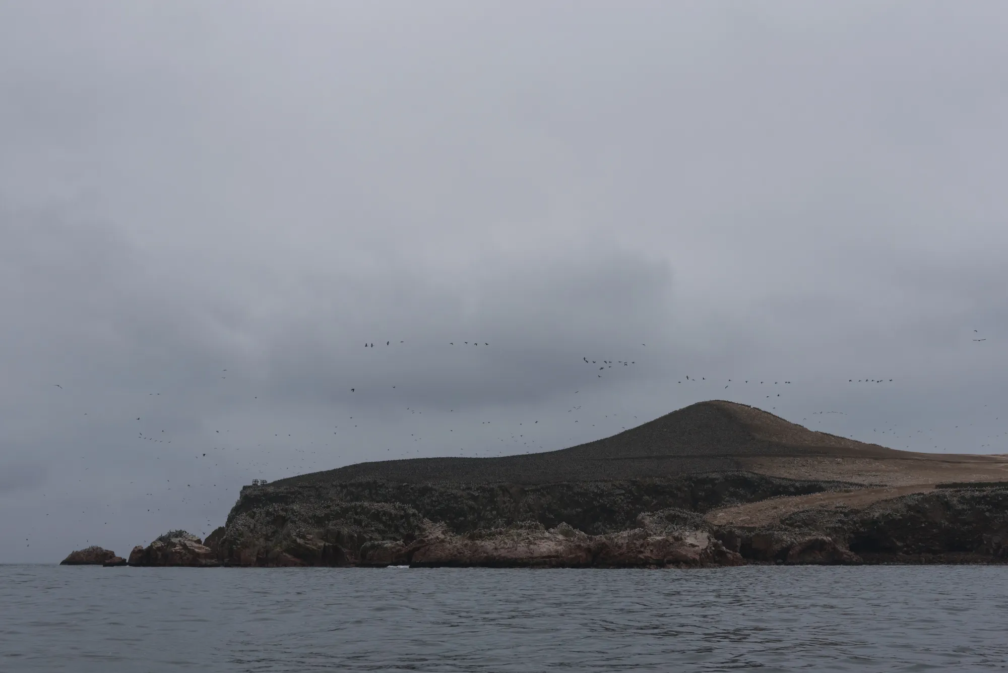 Paracas and Ballestas Islands, Peru
