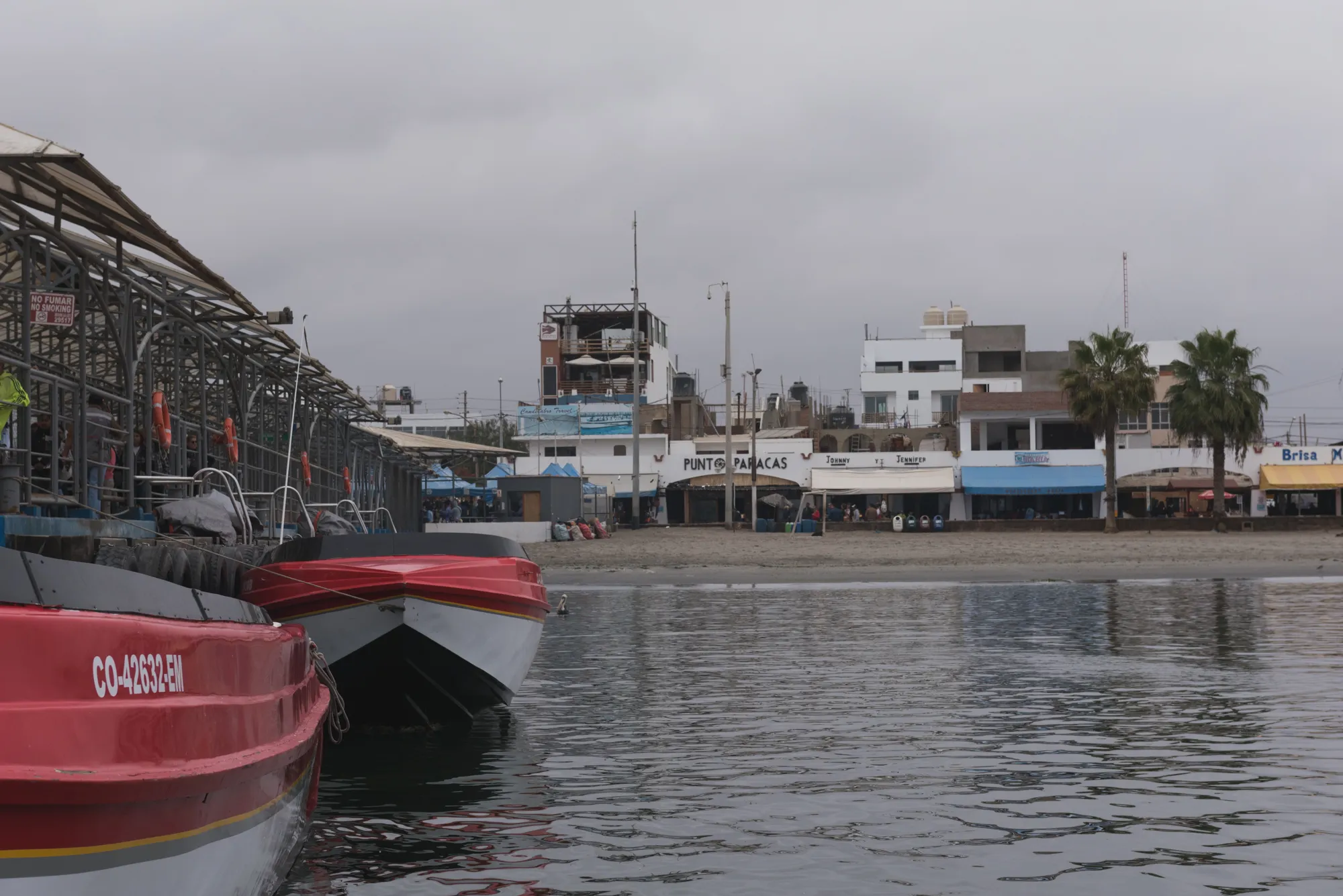 Paracas and Ballestas Islands, Peru