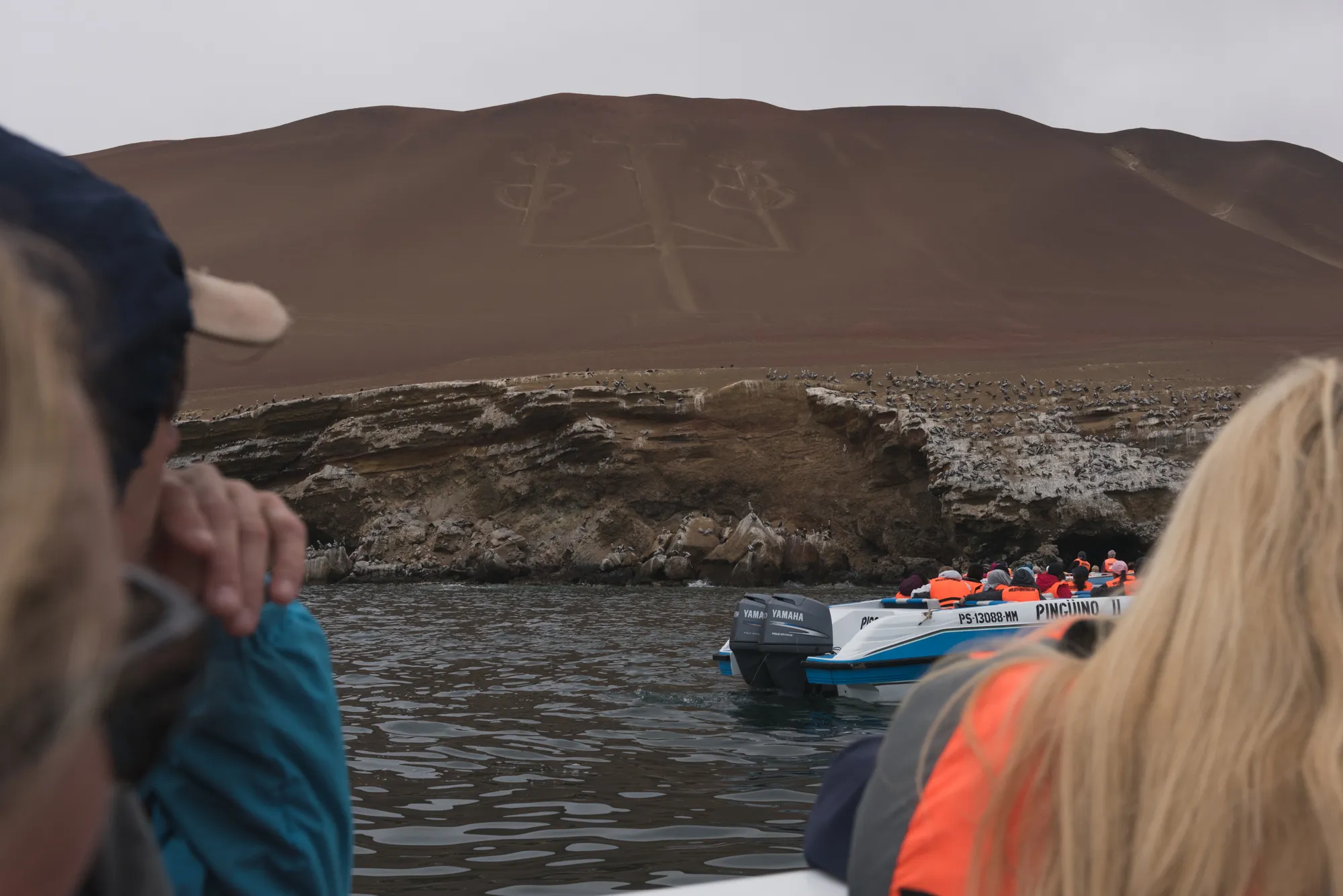 Paracas and Ballestas Islands, Peru