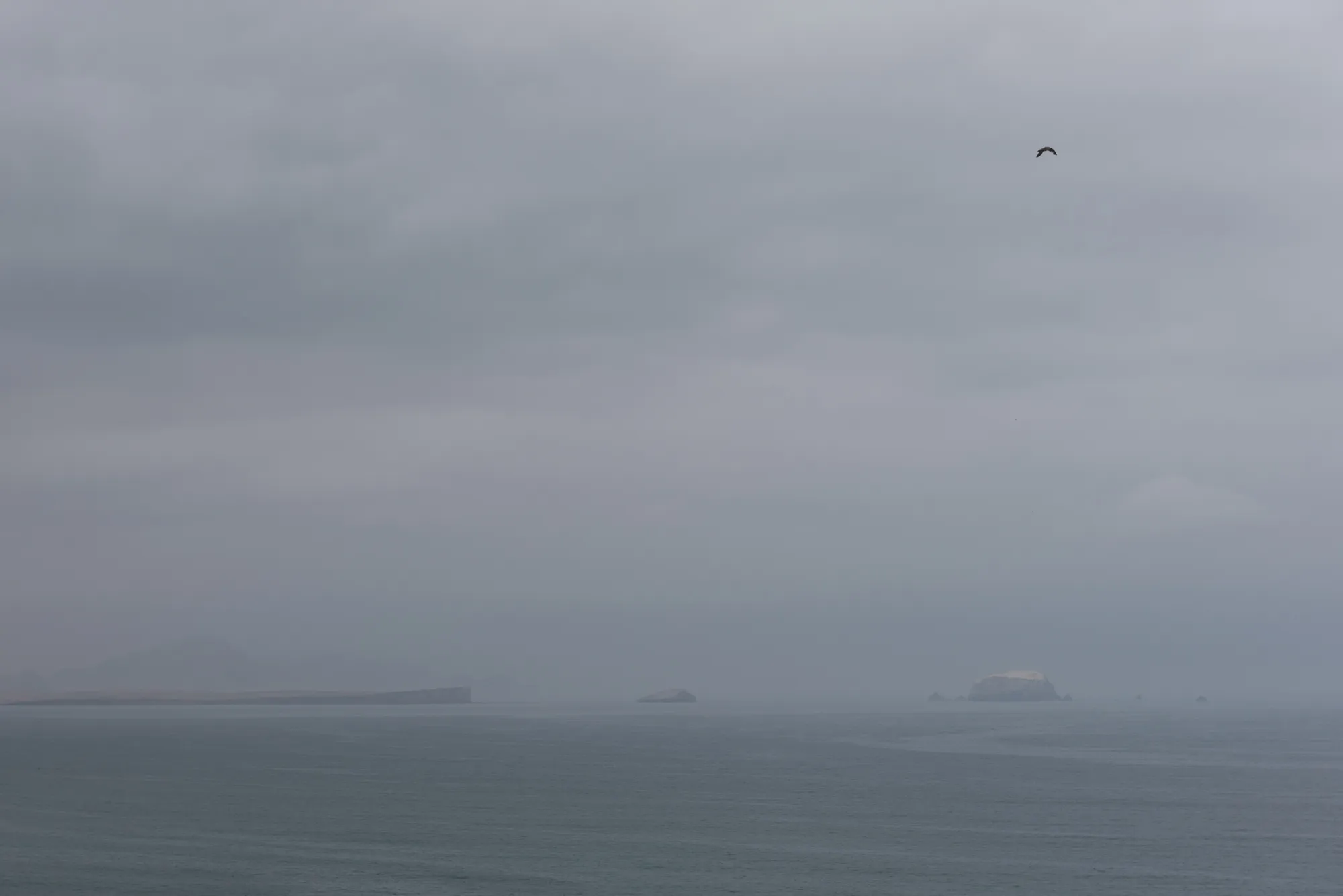 Paracas and Ballestas Islands, Peru