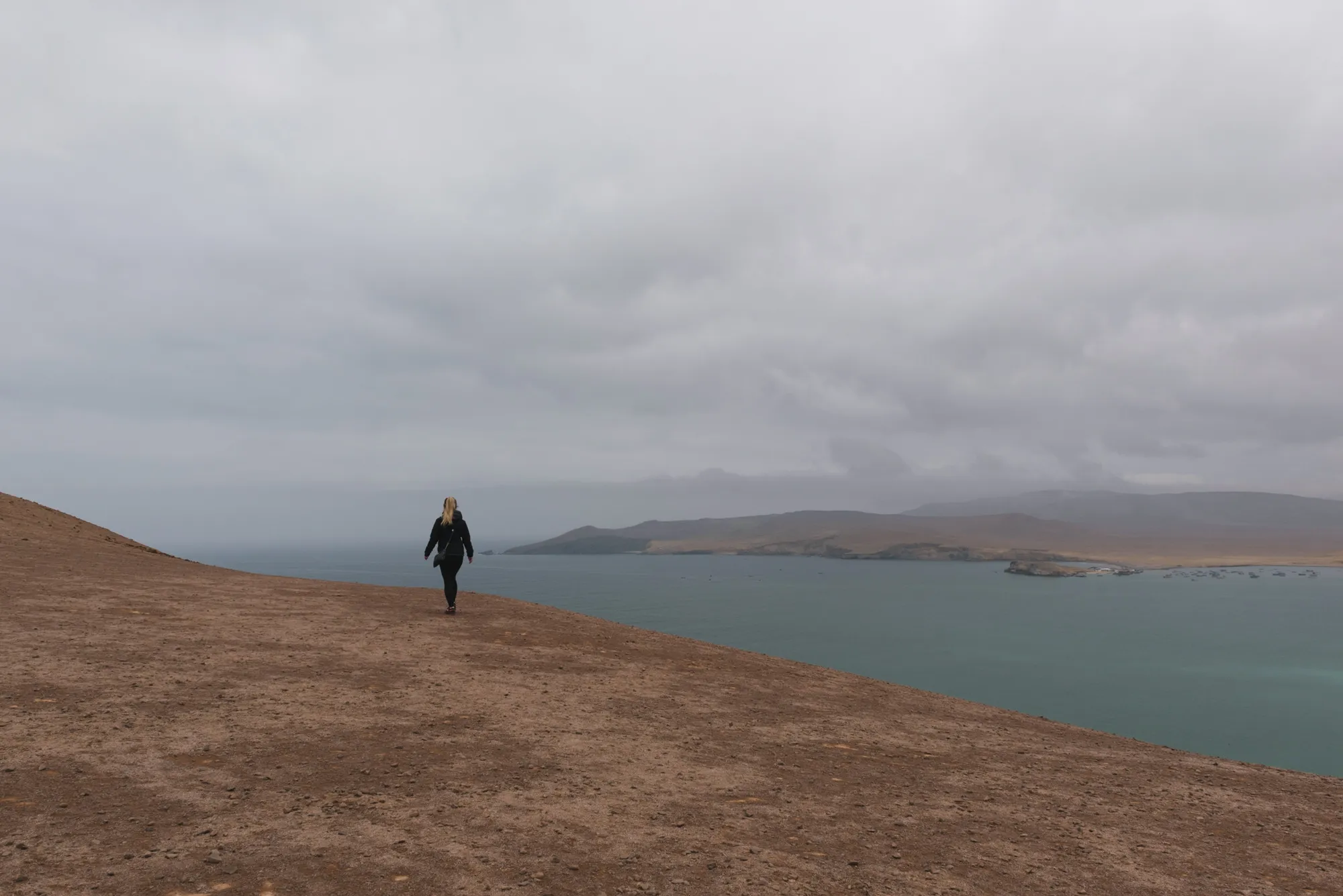 Paracas and Ballestas Islands, Peru