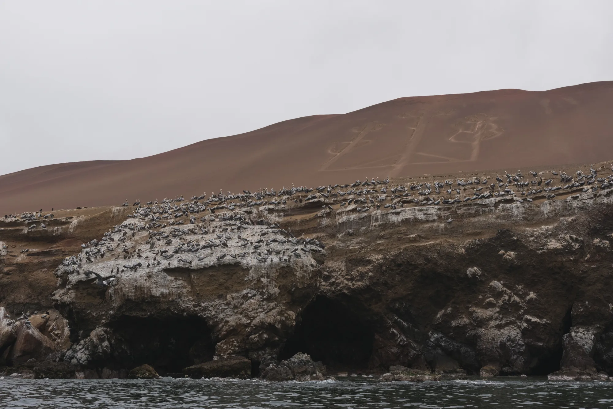 Paracas and Ballestas Islands, Peru