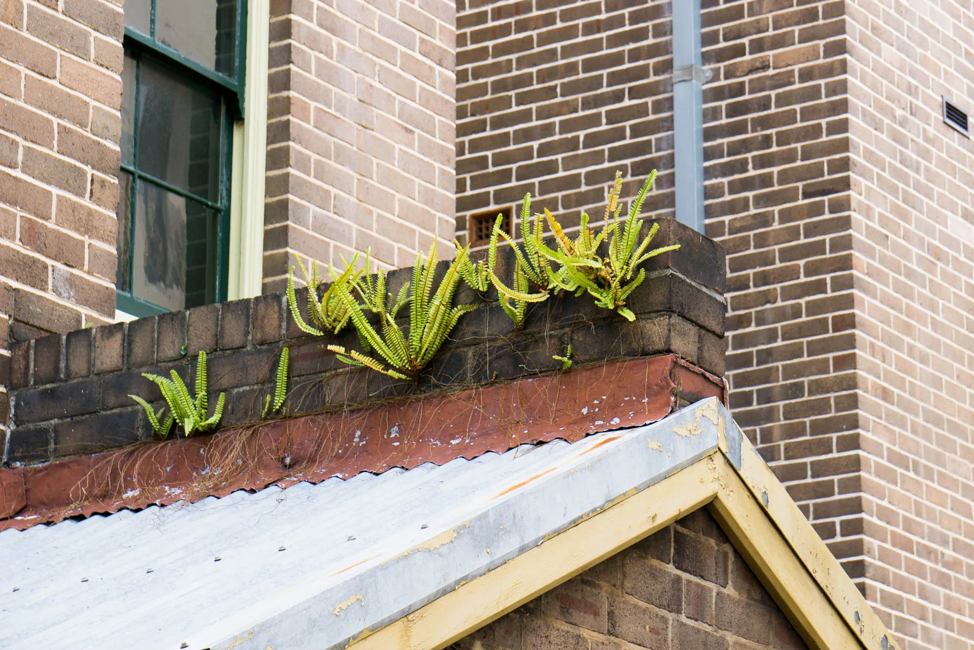 Sydney, Australia